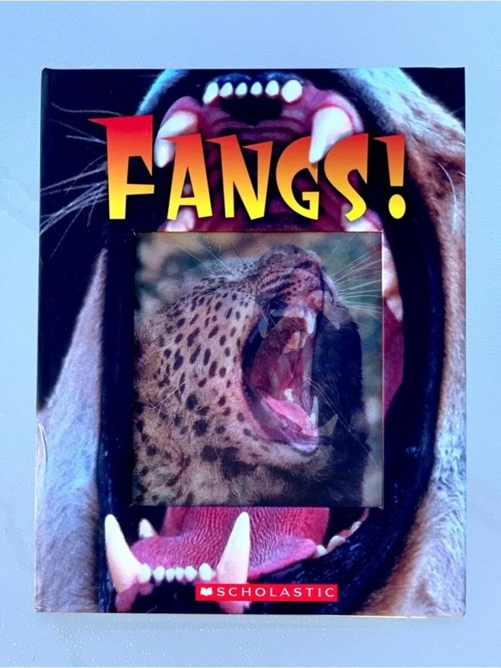 Fangs! Scholastic Books Hardcover Picture Book by Heather Dakota & Tammi Salzano